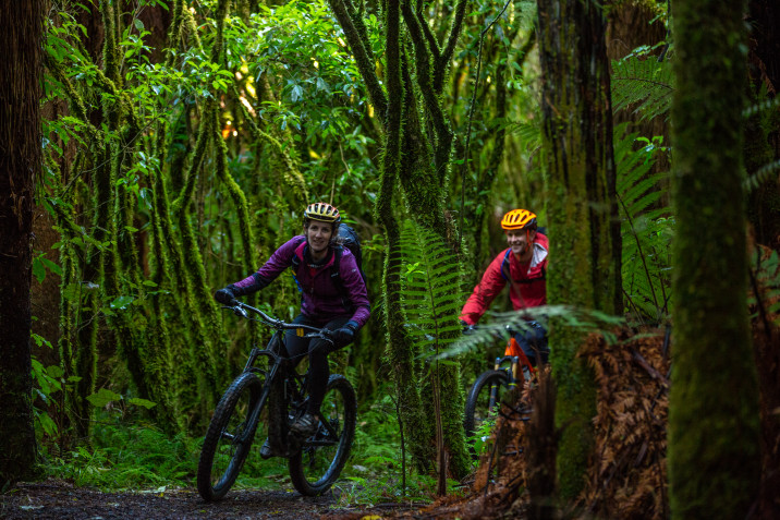 Cycling in the Forest - Ohakune Old Coach Road