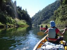Wanganui river journey