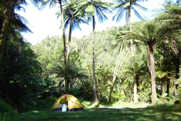 Wanganui River