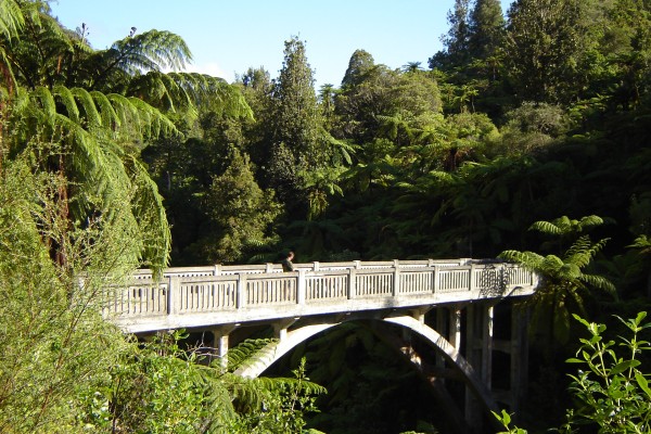 Wanganui River